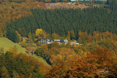 Waldhaus-Ohlenbach-im-Herbst