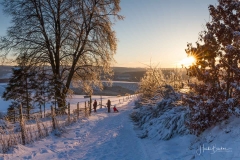 Schwedensteig im Winter