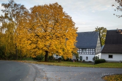 Herbst-in-Obringhausen-3
