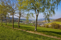 Grafschaft-Fruehling-2022-07