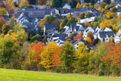Grafschaft-Herbst-2022-02