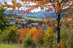 Grafschaft-Herbst-2022-20