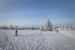 Kahler-Asten-im-Winter-0145