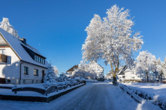Langewiese_Winter-2022_01