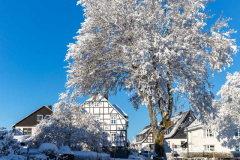 Langewiese_Winter-2022_02