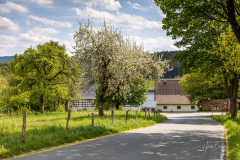 Obringhausen-im-Fruehjahr