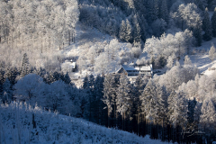Ohlenbach-Winter-2023_08