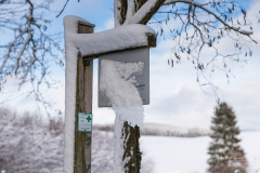 Oberhenneborn im Winter 02