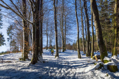 Schwedensteig_Winter-10