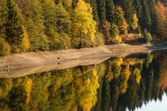 Silbersee-Herbst-12