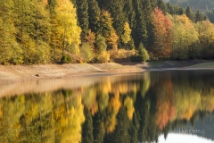 Silbersee-Herbst-14
