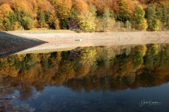 Silbersee-Herbst-16