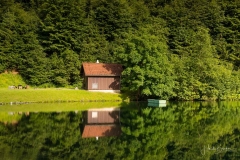 Silbersee-Sommer-09