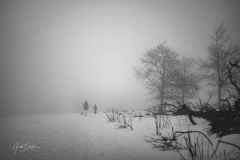 Kahler-Asten-mit-Schnee-und-Nebel-4