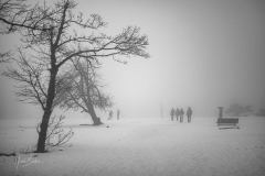 Kahler-Asten-mit-Schnee-und-Nebel-8