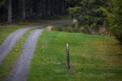 Waldskulpturenweg-Mai-2021-09