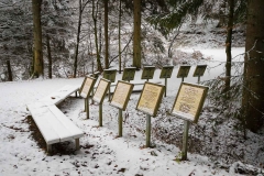 Waldskulpturenweg Hexenplatz im Winter 4