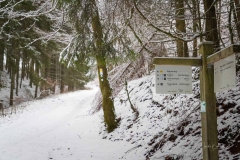 Waldskulpturenweg Hexenplatz im Winter 7