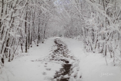 Waldskulpturenweg in Kühhude im Winter 2