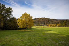 Winkhausen-Herbst-2021-1