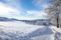 Winter-im-Hochsauerland-083