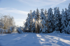 Winter_im_Hochsauerland_152