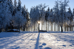 Winter_im_Hochsauerland_166