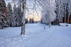 Winter_im_Hochsauerland_173