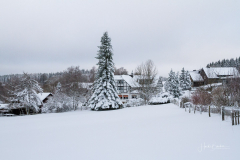 Winter-in-Schanze-052