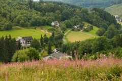 Oberkirchen - Wolfskuhle 2