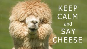 keep calm and say cheese