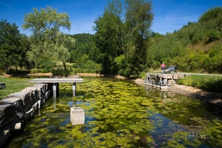 Ruhrmanns-Teich in Fretter